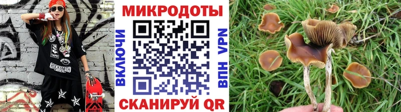 Псилоцибиновые грибы мухоморы  Купить  Горнозаводск 